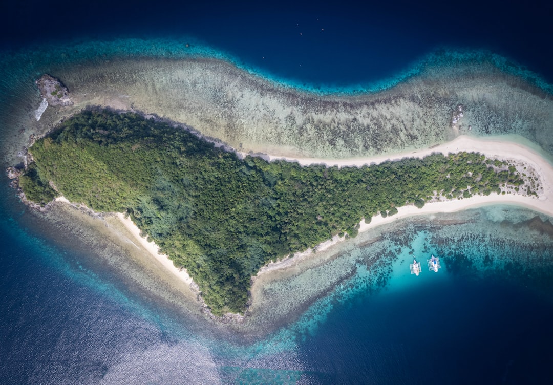 snorkeling tropical beach coral