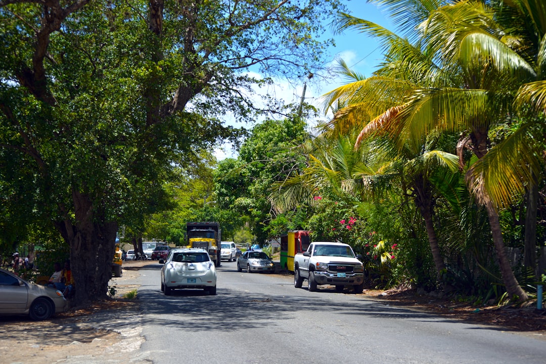 car rental tropical island road