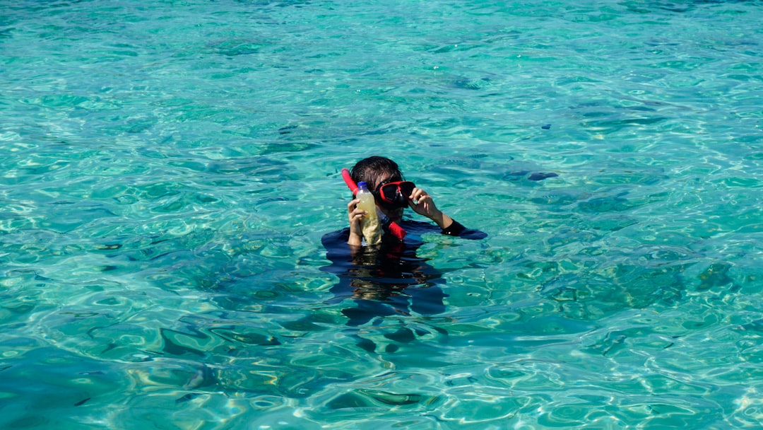 snorkeling tour tropical ocean