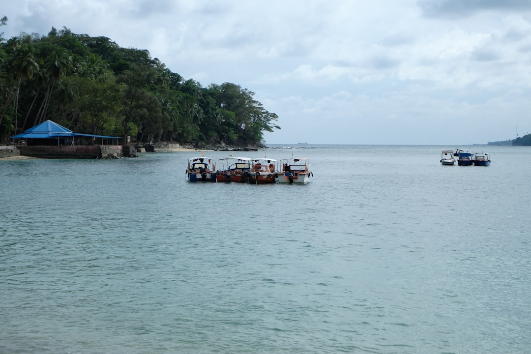 tropical island transportation