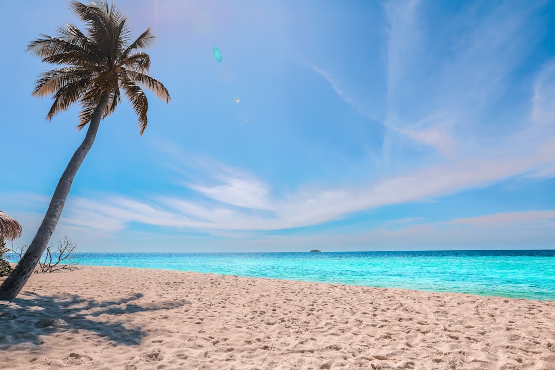 tropical beach weather humidity