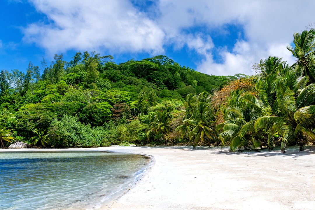 tropical island beach landscape