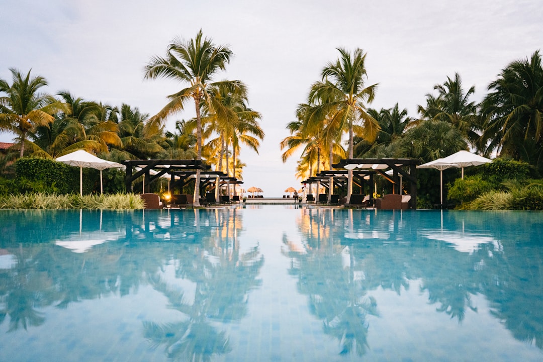 resort swimming pool daytime