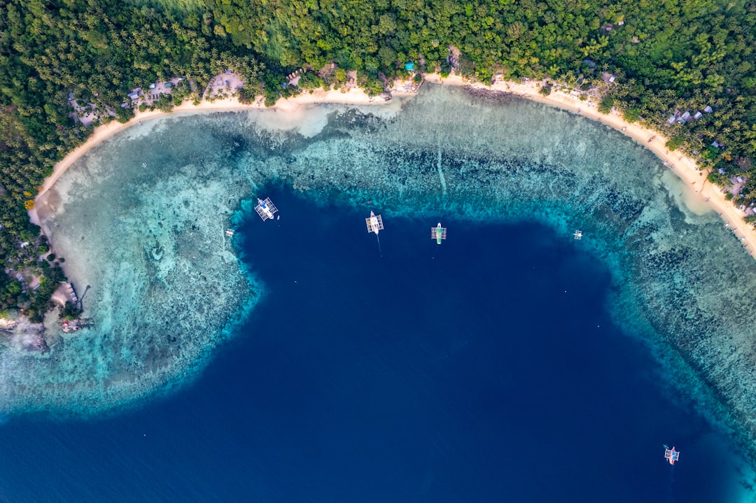 snorkeling beach tropical water