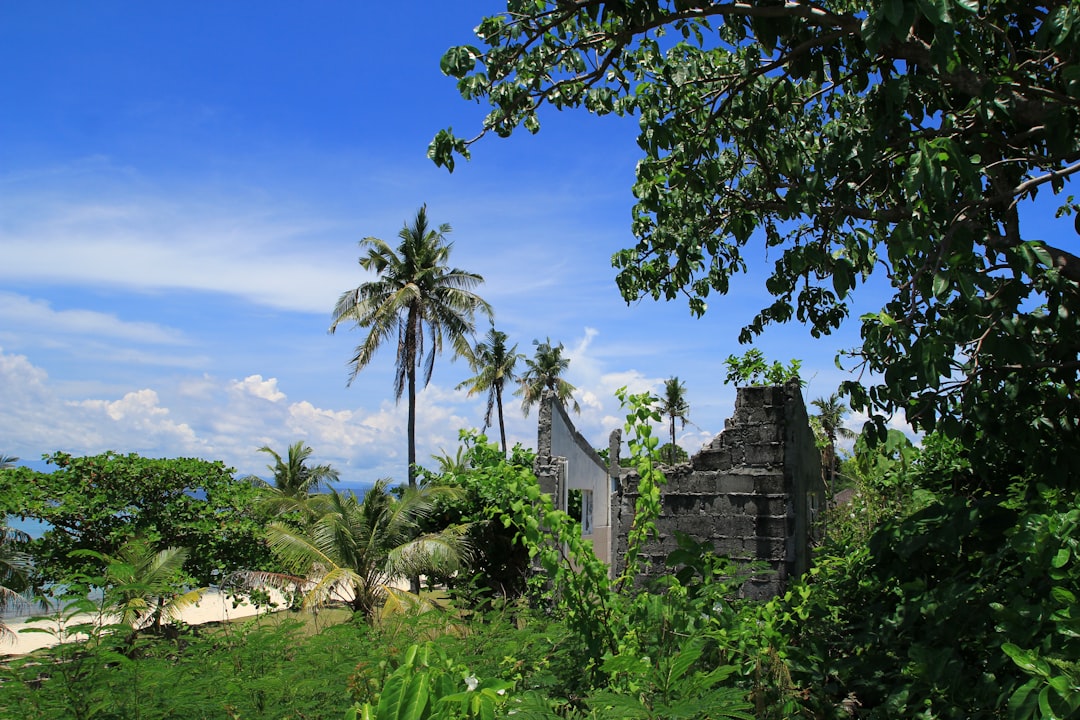 cebu philippines beach