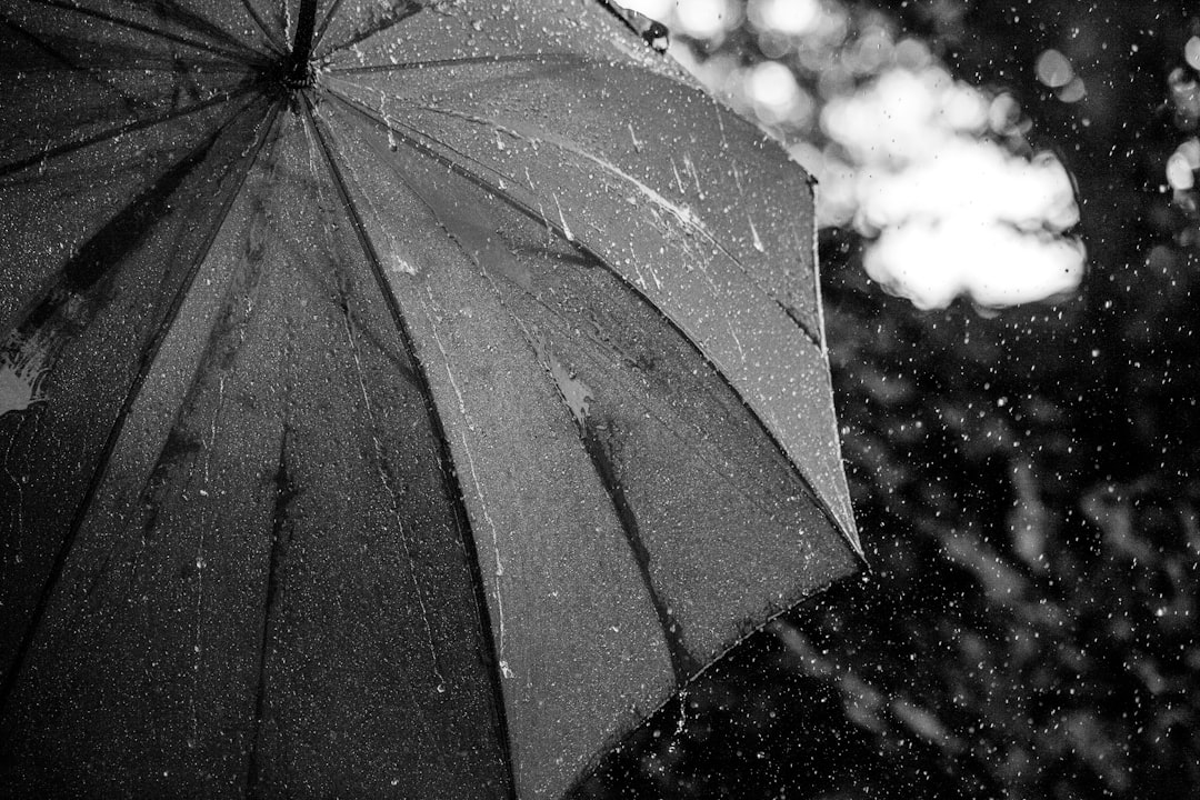 rainy weather raincoat umbrella