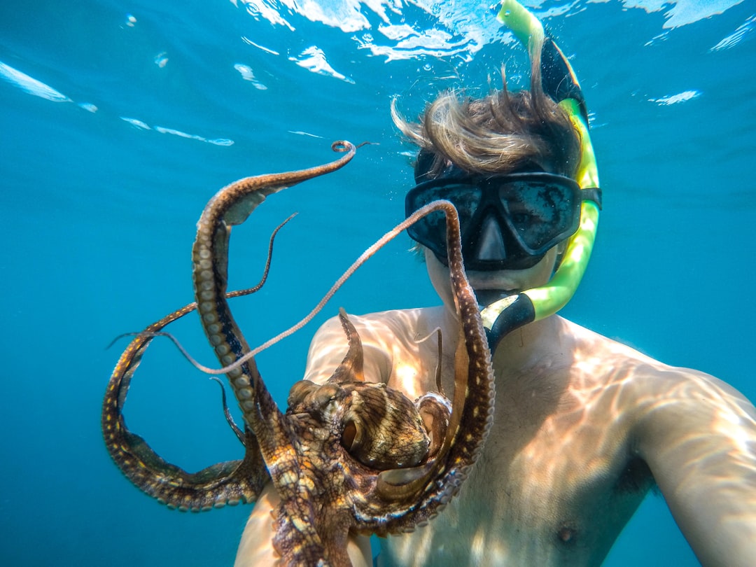 snorkeling equipment underwater