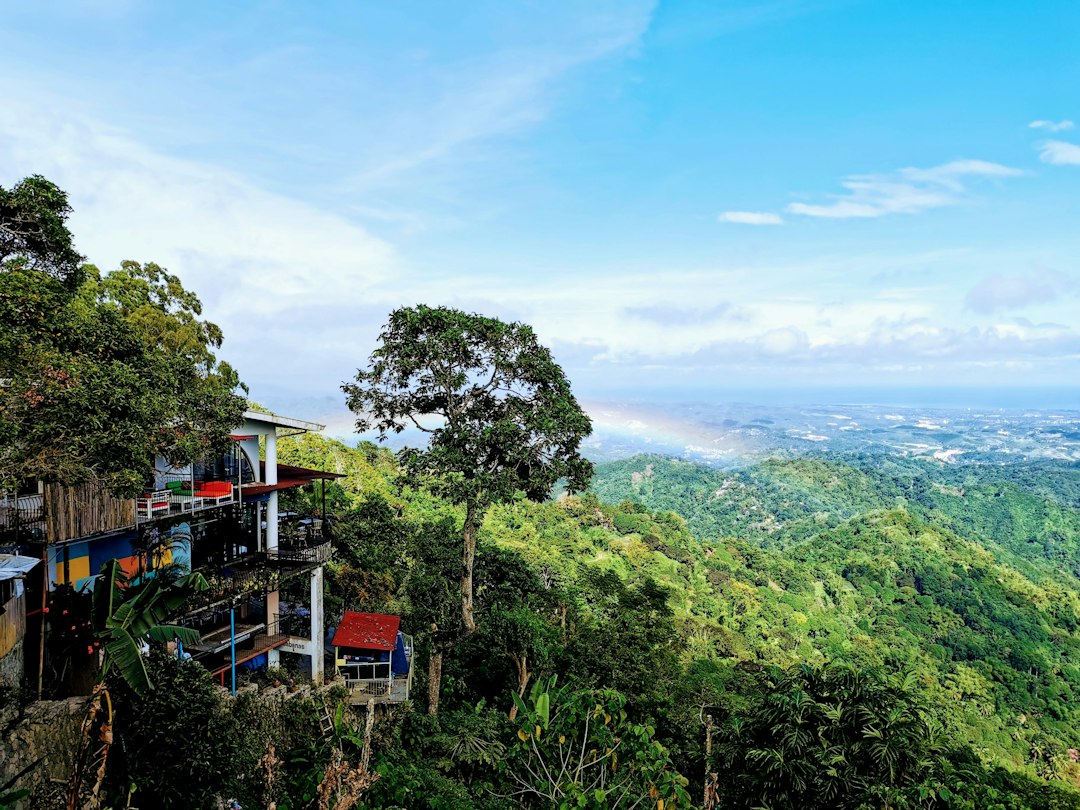 Cebu mountain zipline landscape