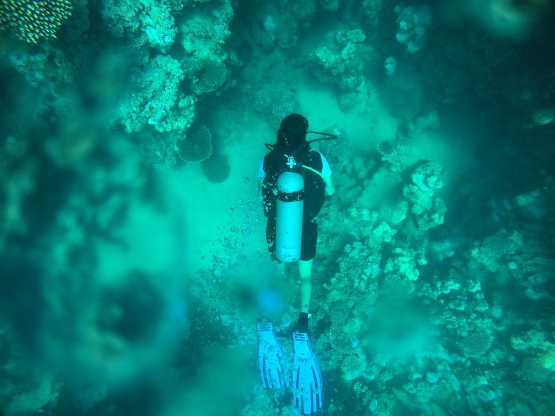 scuba diving underwater coral