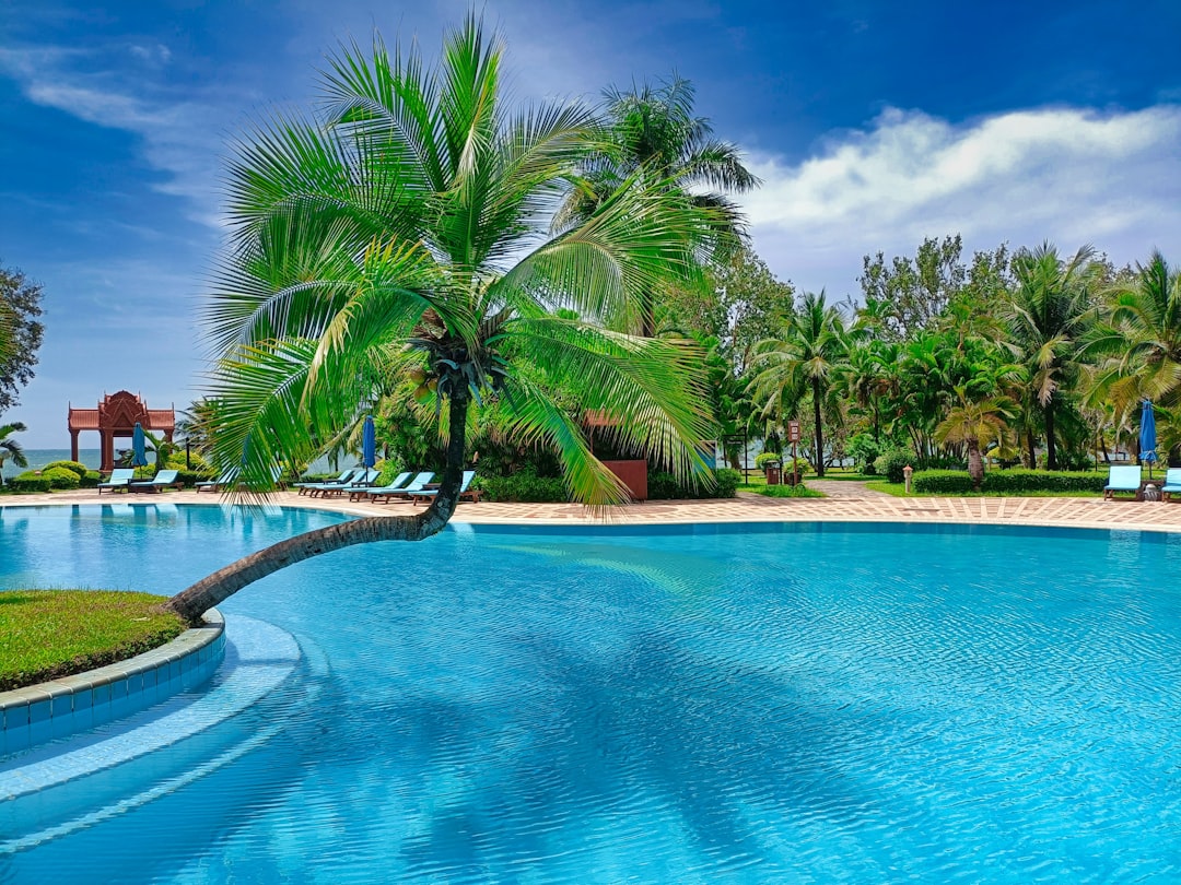 tropical resort swimming pool