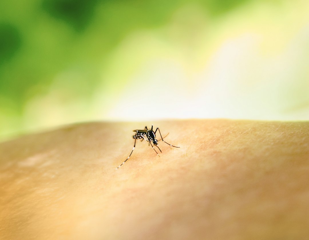 insect bite skin treatment