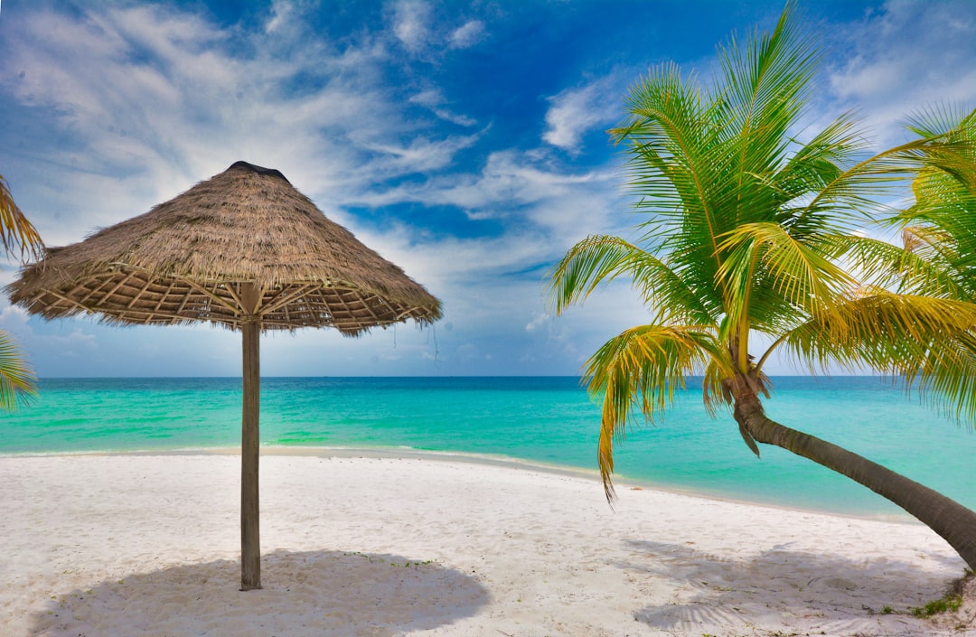 sunscreen tropical beach application