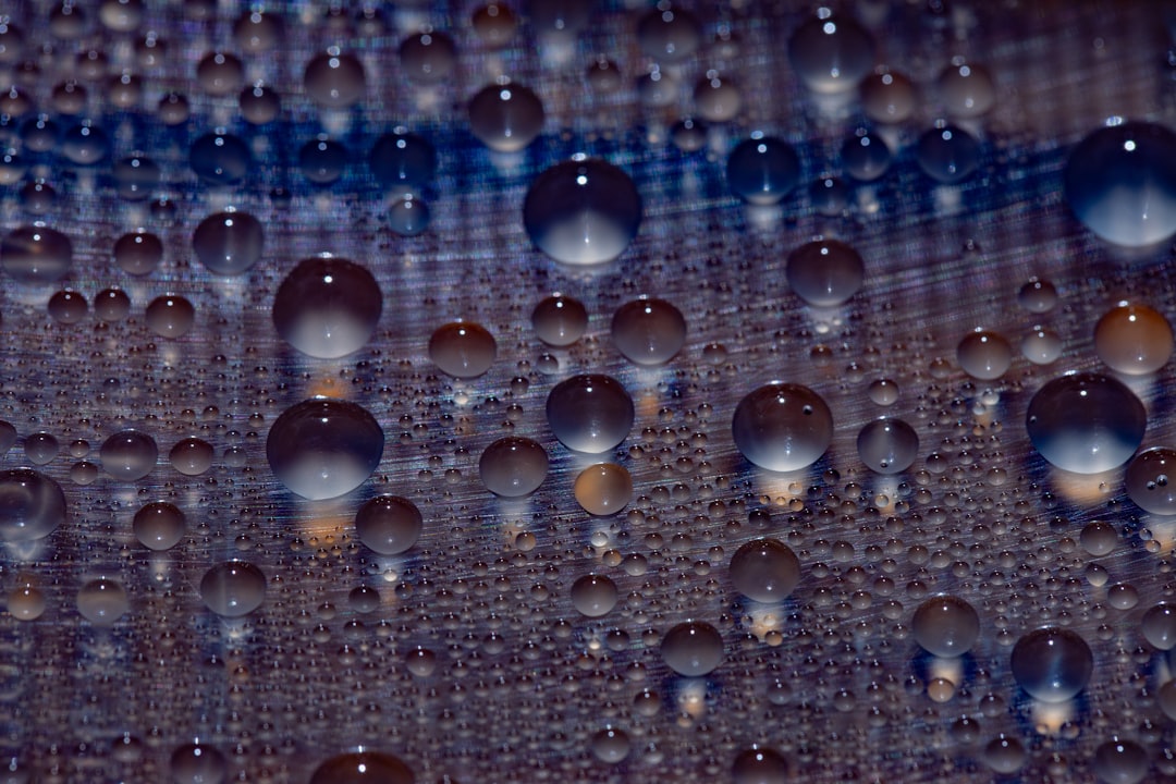 water droplets ear close-up